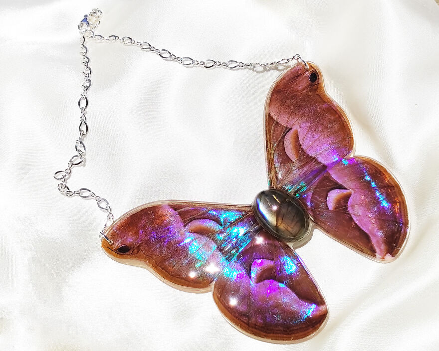 I Create Magical Pieces With Real Insect Wings To Give Them New Life I Create Magical Pieces With Real Insect Wings To Give Them New Life