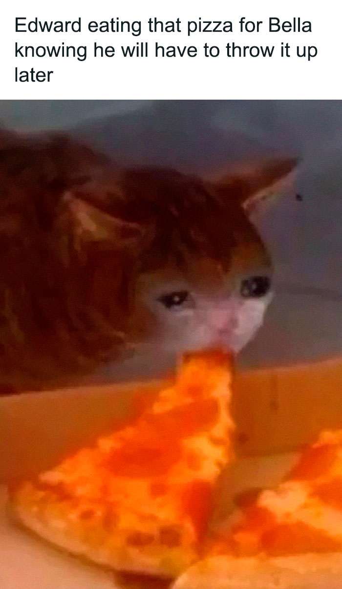 Funny-Twilight-Jokes-Memes