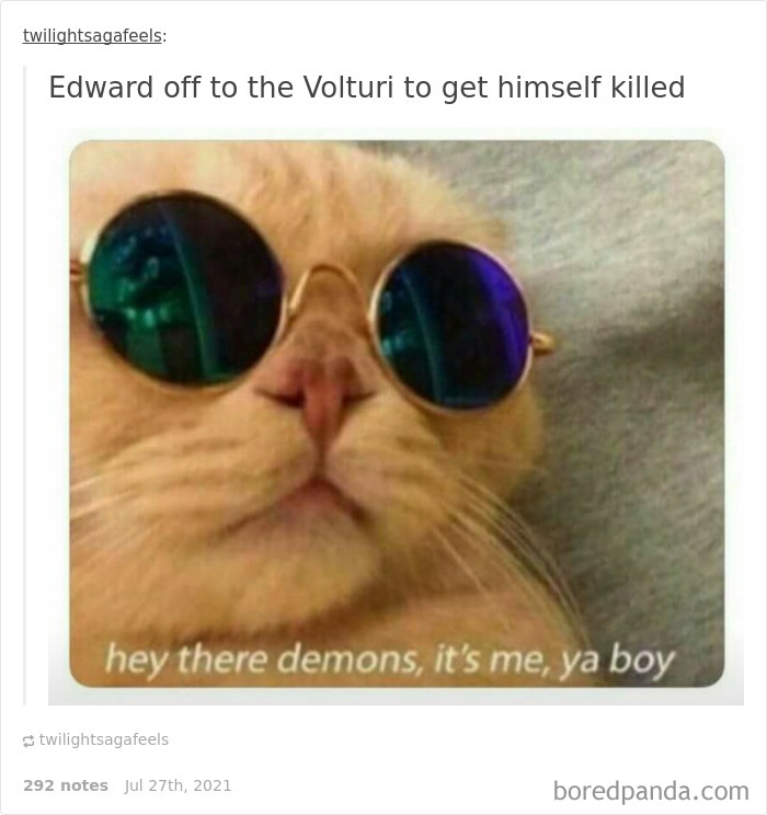 Funny-Twilight-Jokes-Memes