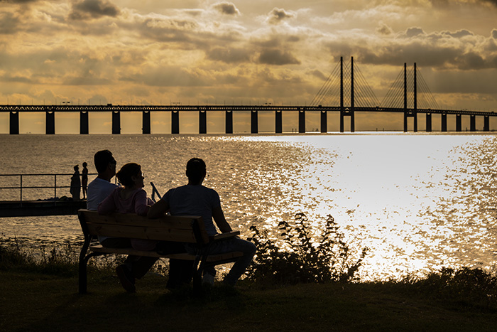 “I Am The Chosen One But I Hate It”: People In This Online Group Share 30 Of The Most Annoying Book Tropes