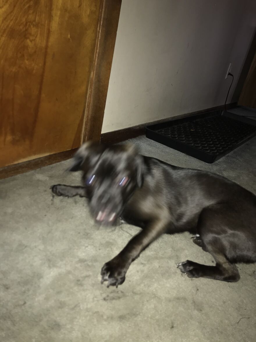 Casper Being Is Crazy Self.