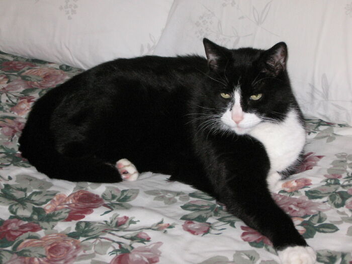 My Sweet Boy, Morgan