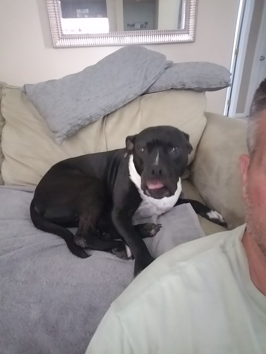 I Finally Found Out The Faces She Makes Behind My Back!