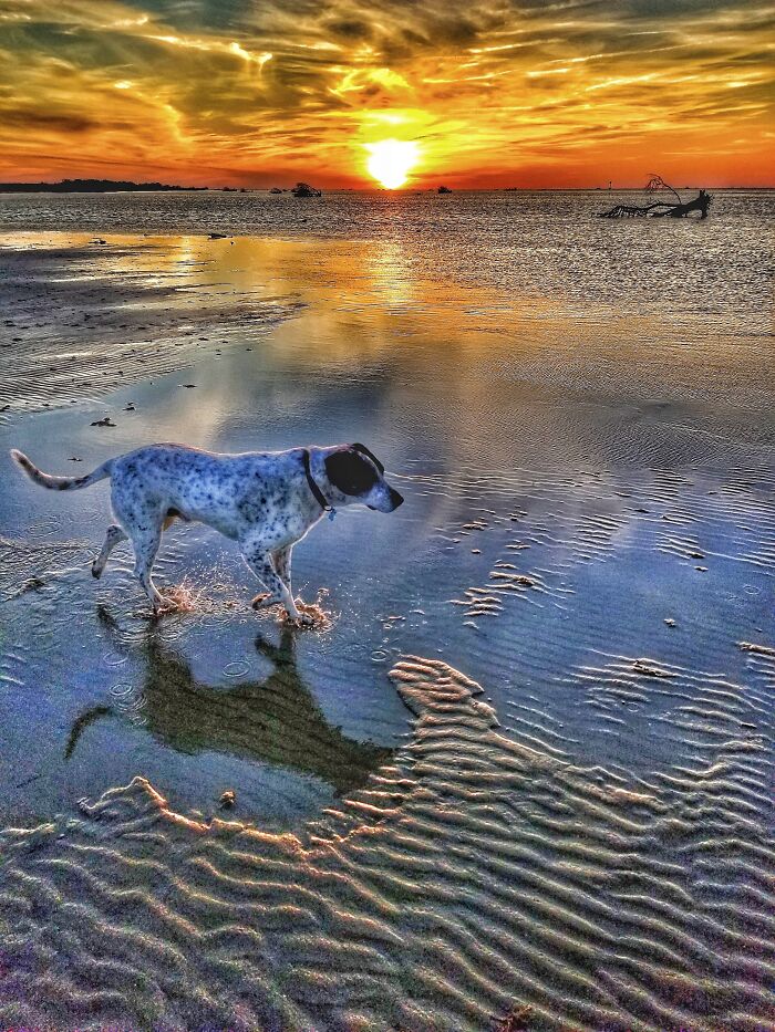 Definitions Of Happy