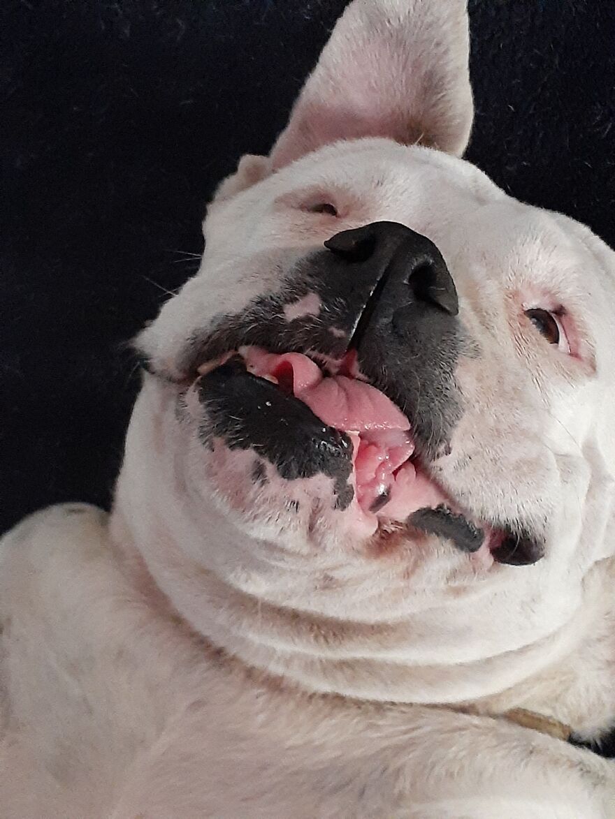 Abby Waking Up From A Nap!