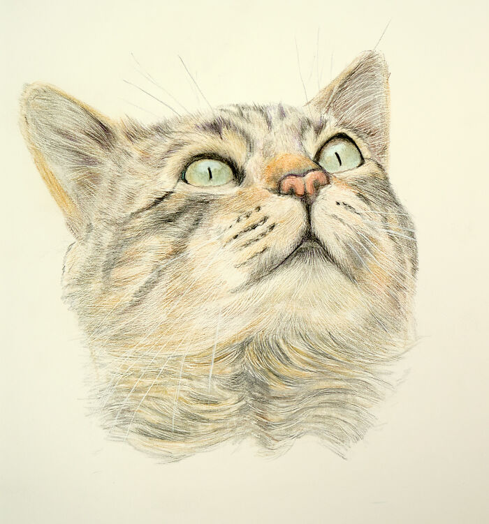 Does It Have To Be Recent