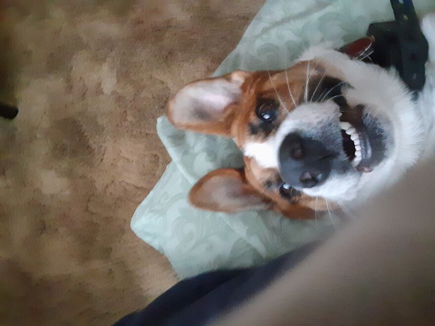 Our Girl Being A Ham