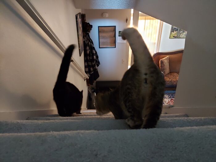 Okay... You've Taken Enough Face Pictures... Try This Angle