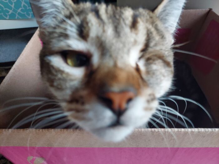 I Move Closer To Camera Now...... Now You Will Not Know That My Nose Is So Small.