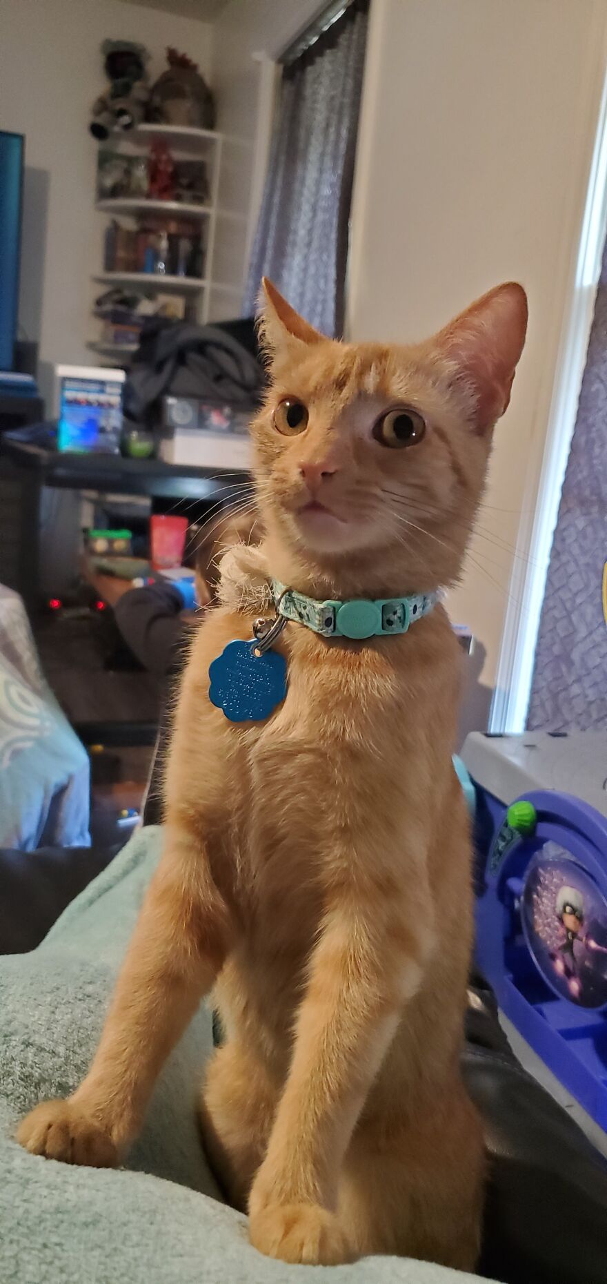 Sansa Says, "What Do You Mean I Can't Have A Bite Of Pizza?"