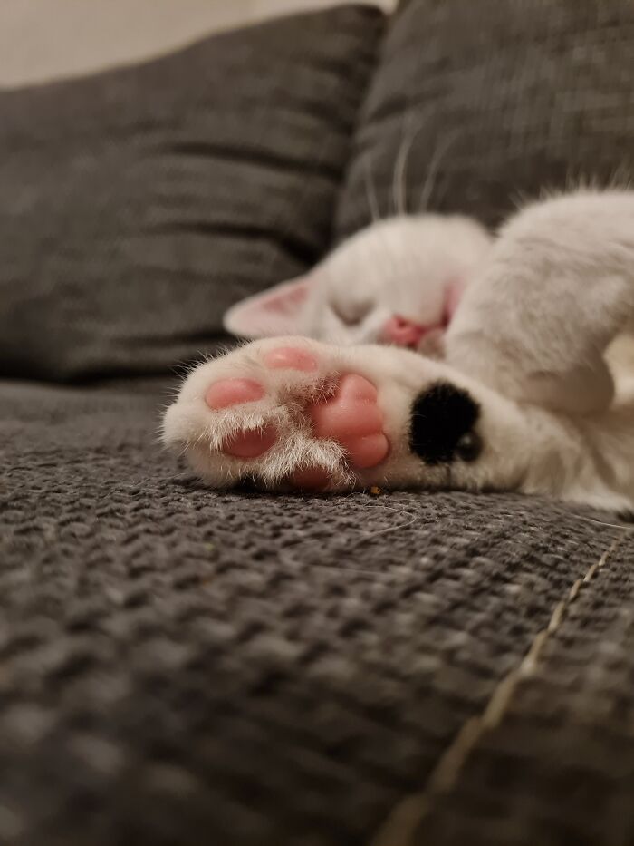 My Baby (Actually 1 Year 4 Months), I Love Her Madly!