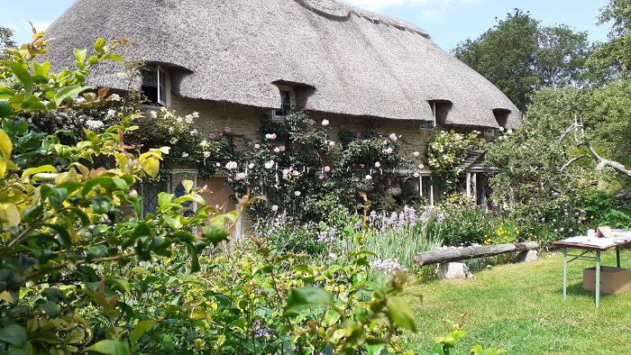 The Prettiest House In My Village