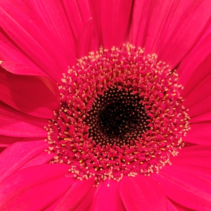 Olympics Stadium Fireworks In A Flower
