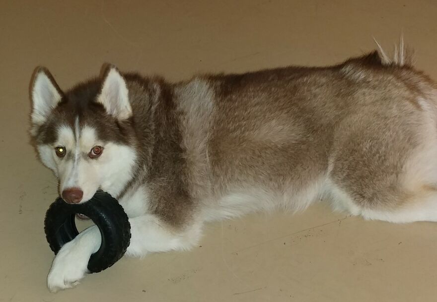 Murdock Has No Idea How Tires Work.