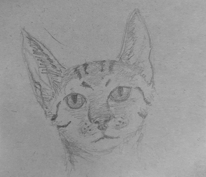 I Only Had Like 10 Minutes, But Here It Is