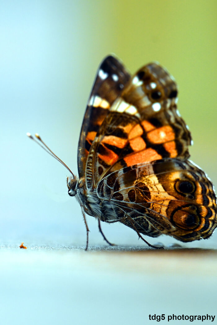 I'm Ready For My Close Up