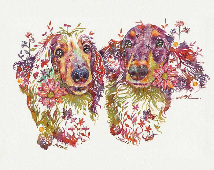 Watercolor-Art-Animals-Hiroki-Takeda