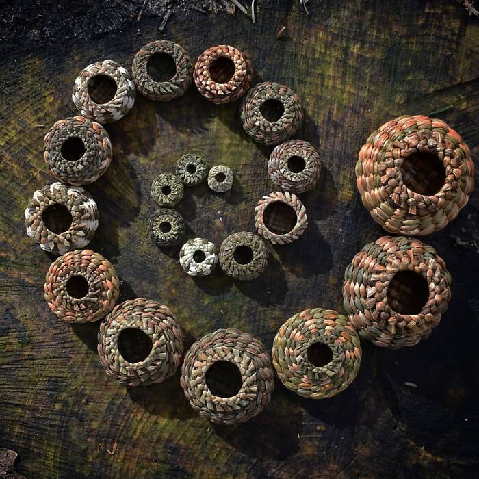 Plants-Weeds-Woven-Baskets-Jewelry-Suzie-Grieve