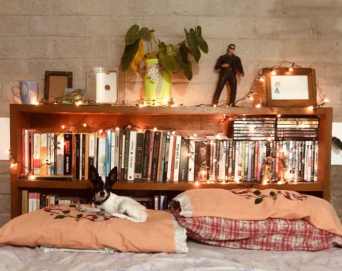 Nagini And My Books.