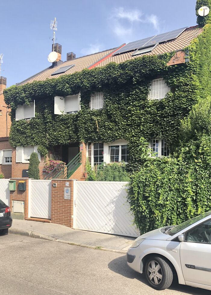 Not So Much The House, But The Vegetation On My Neighbor’s House, Near Madrid