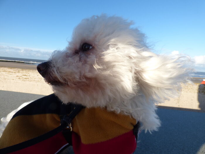 He Loves To Pose 😂