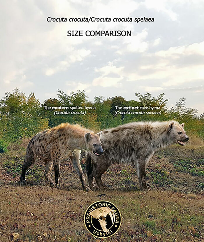 39 Visual Comparisons Of The Size Of Long-Extinct Animals With Their Modern Relatives