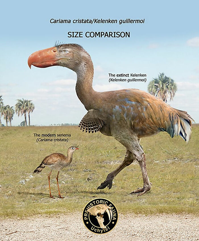 39 Visual Comparisons Of The Size Of Long-Extinct Animals With Their Modern Relatives