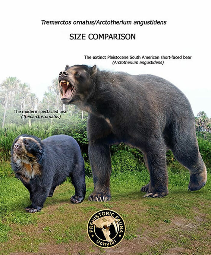39 Visual Comparisons Of The Size Of Long-Extinct Animals With Their Modern Relatives