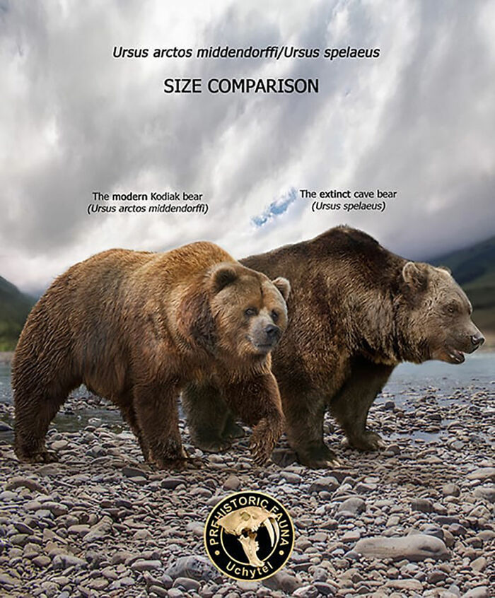 39 Visual Comparisons Of The Size Of Long-Extinct Animals With Their Modern Relatives