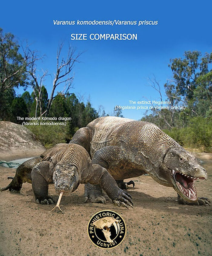 39 Visual Comparisons Of The Size Of Long-Extinct Animals With Their Modern Relatives