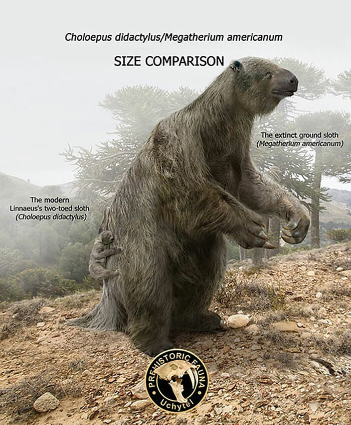 39 Visual Comparisons Of The Size Of Long-Extinct Animals With Their Modern Relatives