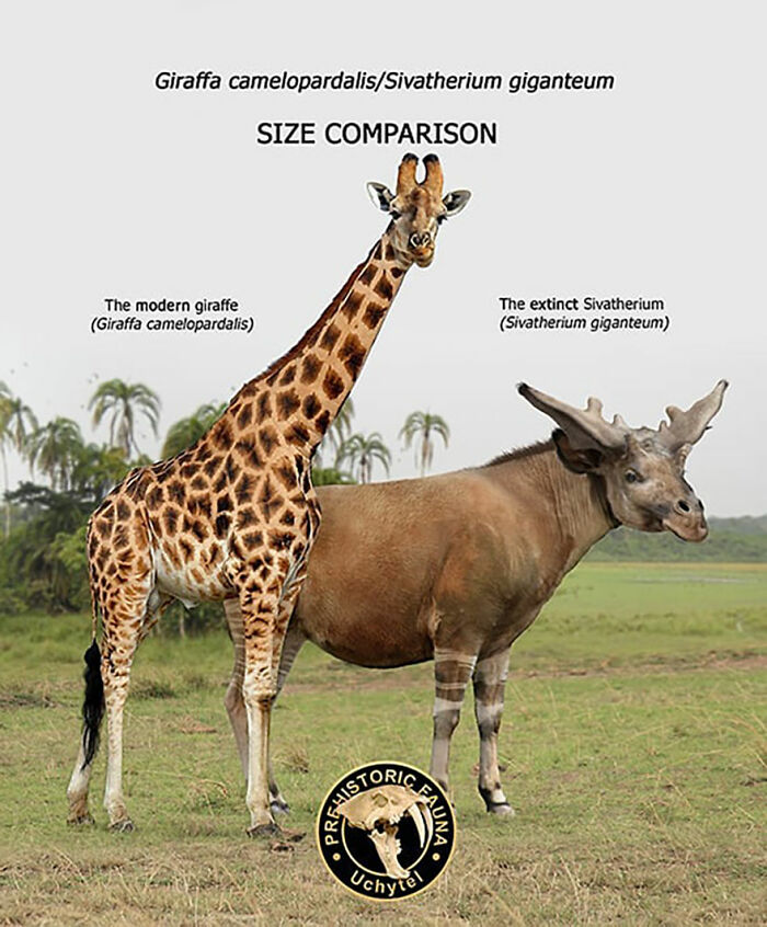 39 Visual Comparisons Of The Size Of Long-Extinct Animals With Their Modern Relatives
