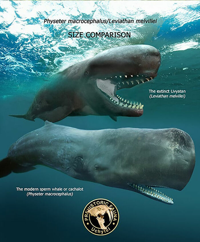 39 Visual Comparisons Of The Size Of Long-Extinct Animals With Their Modern Relatives