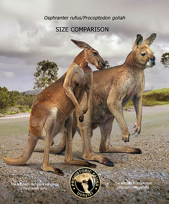 39 Visual Comparisons Of The Size Of Long-Extinct Animals With Their Modern Relatives