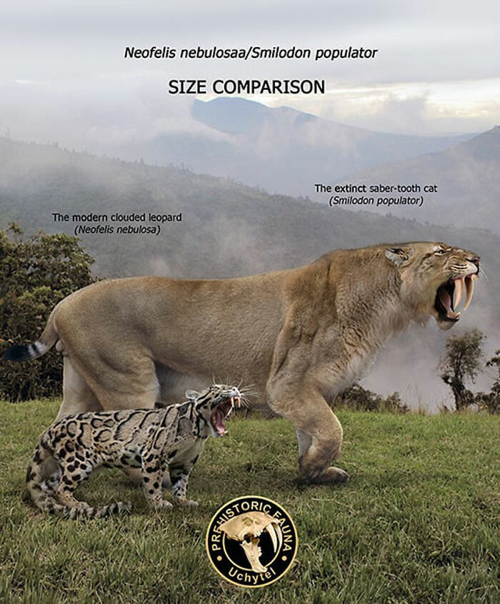 39 Visual Comparisons Of The Size Of Long-Extinct Animals With Their Modern Relatives