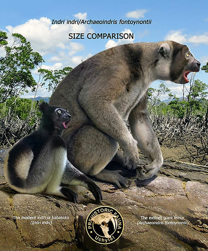 39 Visual Comparisons Of The Size Of Long-Extinct Animals With Their Modern Relatives