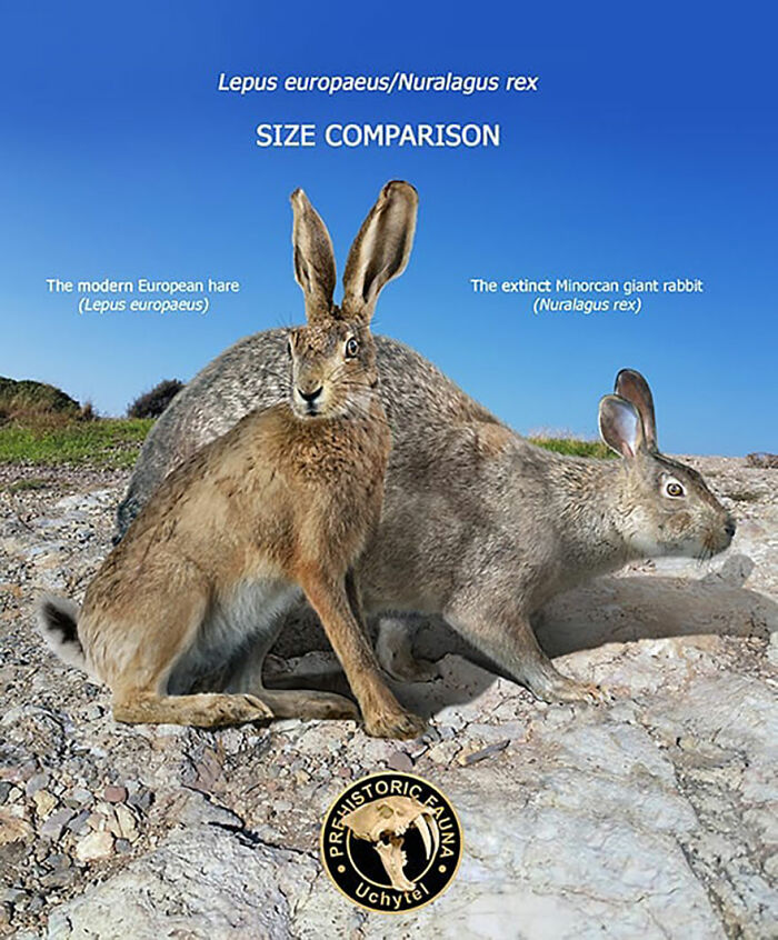 39 Visual Comparisons Of The Size Of Long-Extinct Animals With Their Modern Relatives