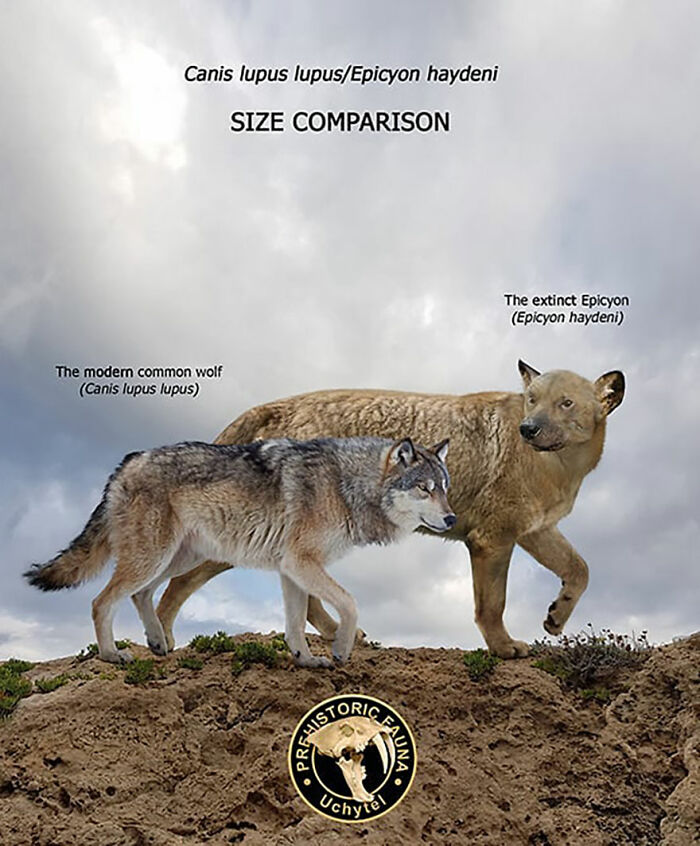 39 Visual Comparisons Of The Size Of Long-Extinct Animals With Their Modern Relatives