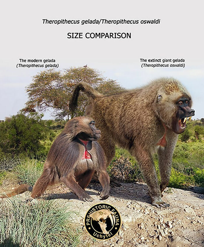 39 Visual Comparisons Of The Size Of Long-Extinct Animals With Their Modern Relatives