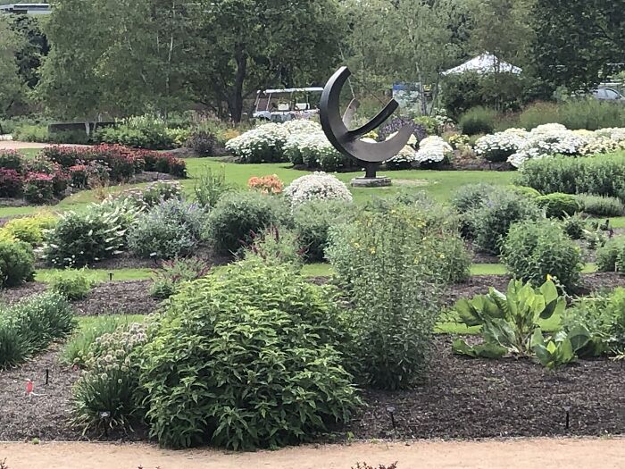 Chicago Botanic Garden This Morning.