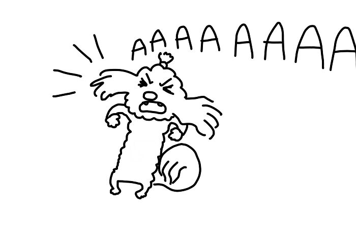 My Doggo 😂 He Looks Tiny & Fluffy But Is Actually Really Angry Lol