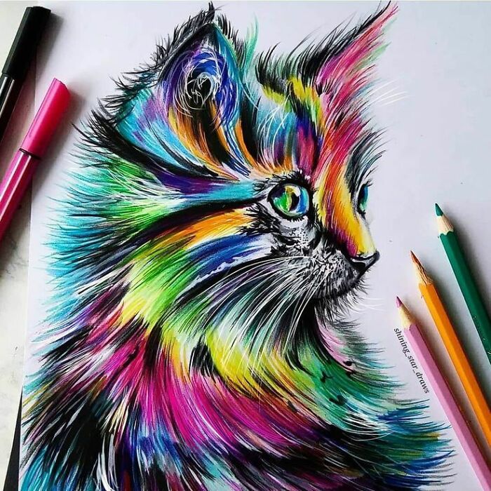Multicolour Kitty. Am I Good??