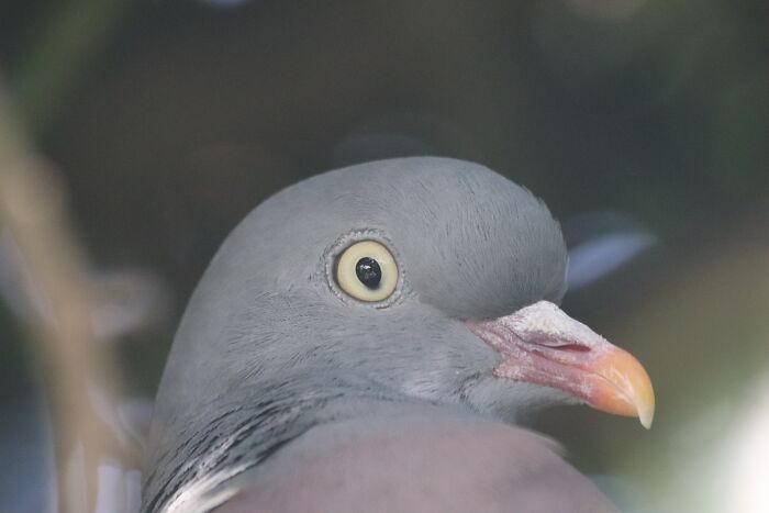 There's Always Someone Watching