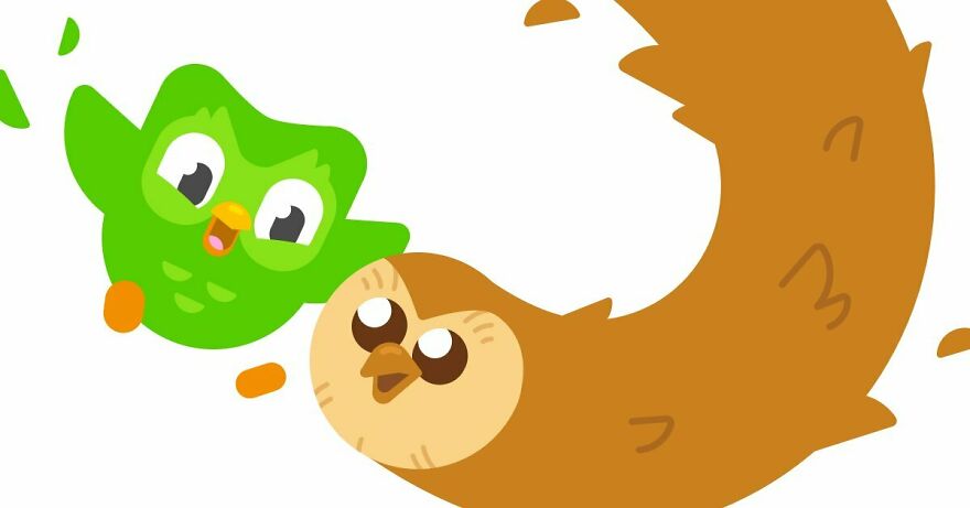 Best Hooty Memes/Things