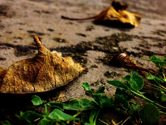 My First Ever Micro.