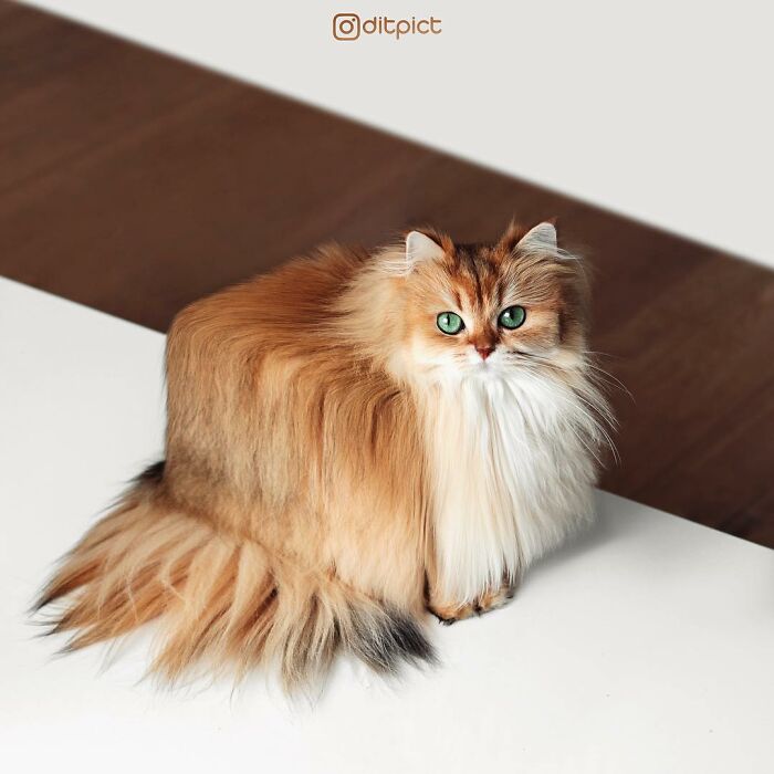 What If… Real Animals Were Cubic Shaped Animals From The Minecraft Game? (22 New Pics)