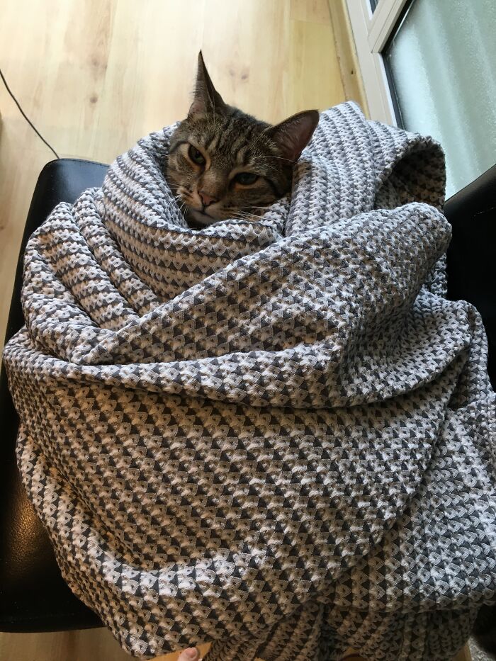 Forrest The Best Roommate Ever