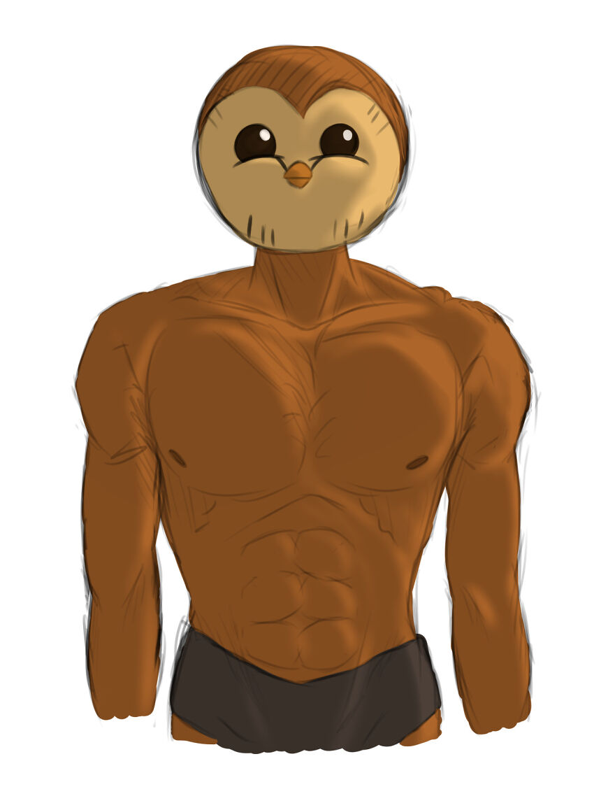 Best Hooty Memes/Things