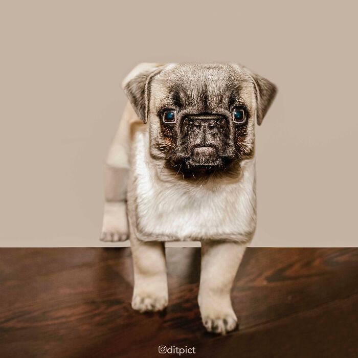 What If… Real Animals Were Cubic Shaped Animals From The Minecraft Game? (22 New Pics)