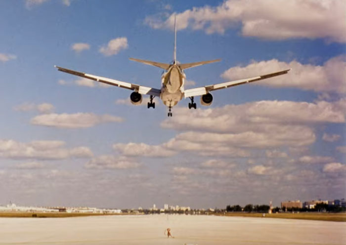 30 Hidden Film Gems That More People Ought To Know About As Shared By People Online